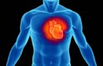 Italia, in arrivo una terapia genica per riparare il cuore dopo l’infarto