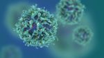Coronavirus, aumentano i casi a Roma. Nel Lazio cresce il numero di guariti: più dei nuovi positivi