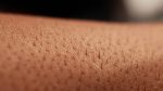 Cellule staminali, uno studio su ‘Nature’ dimostra come è possibile creare la pelle umana in laboratorio