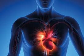 Scompenso cardiaco, la telemedicina riduce la mortalità e le ospedalizzazioni